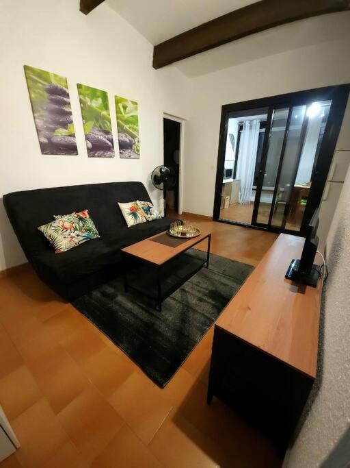 A 8 Mn A Pied Des Plages Appartement Avec Piscine Et Tennis Argelès-sur-Mer Εξωτερικό φωτογραφία